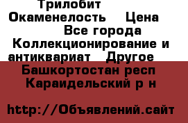 Трилобит Asaphus. Окаменелость. › Цена ­ 300 - Все города Коллекционирование и антиквариат » Другое   . Башкортостан респ.,Караидельский р-н